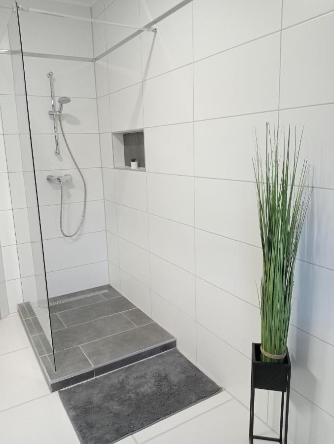 Star Apartman Zalacsány Eksteriør billede